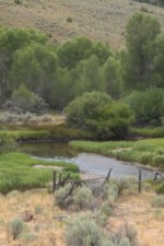 Tanner's Ford Valley river bottom