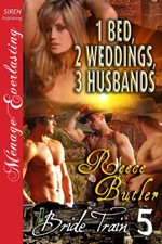 Cover for One Bed, Two Weddings, Three Husbands