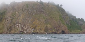 doocot cave - geograph-3669541-by-Craig-Wallace - Copy