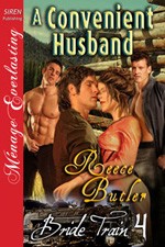 Cover for A Convenient Husband